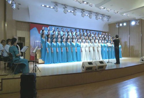 大有街道舉辦慶“七一”文藝匯演暨文化藝術(shù)交流活動