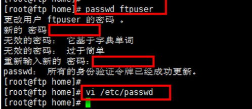 面向異步樹(shù)的數(shù)據(jù)管理與服務(wù)搭建指南 FTP與HTTP深度實(shí)踐